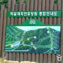 박달재자연휴양림 이미지