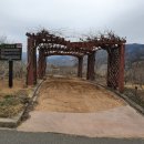 하천섬(주차장) 이미지