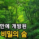지하철3번120,7022 자하문역하차 경복궁역도심을 내려다보면서 걸을 수 있는 둘레길 이미지