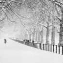 비발디사계 이미지