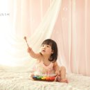 설탕수박