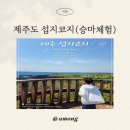 제주 섭지코지 아이랑 다녀온 후기 산책하고 승마체험까지