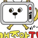댕댕이를 사랑하는 모임