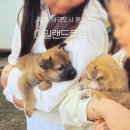 서성일로 | 초등 아이들과 함께 한 제주 아일랜드 플라워 동물원 솔직 후기｜냄새까지 리얼한 교감 체험