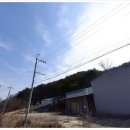 경북청과상회 이미지