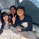 용인대아이원태권도 이미지