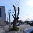 원주시노인종합복지관 문막분관 이미지