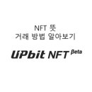 엔에프티 이미지