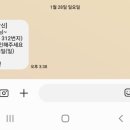 나나펫 이미지
