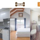 안면애견펜션프리독 이미지