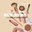 [전자책7]화장품 취업 에센스 &lt;vol6. 화장품 산업 전망과 취업 트렌드 이해&gt;