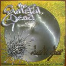 Grateful Dead - Dark Star(1968) 이미지