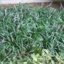 비산 빗물펌프장 이미지