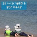 바다햇살고운집 | [포항 아이와 가볼만한 곳] 용한리 해수욕장 물놀이 후기｜모래놀이하기 좋은 포항 해수욕장