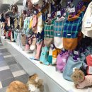 멍멍친구 애견샵 이미지