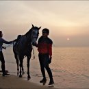 포항승마클럽 Daum카페