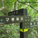 오늘동물병원 이미지