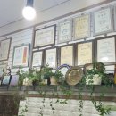 한라 합기도 이미지