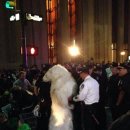 종가대박집 이미지