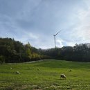 하늘마루염소목장 | 강원도 평창 겨울여행 대관령 양떼목장 하늘목장 아기랑 입장료 트랙터