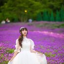 사랑카페 - 대덕구 | 사랑카페