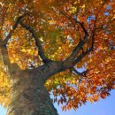 산림행정사사무소 이미지