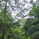 물깨말구구리길(봄내길 2코스) 이미지