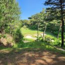 BnBK골프클럽 | [골프리뷰] 부산 금정구 BnBK 파3 골프클럽 이용후기