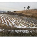 천왕농장 이미지