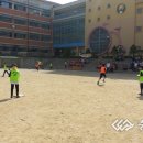 공주신월초등학교 이미지