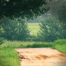 들녘목장 이미지