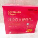 코타이인터내셔널 이미지