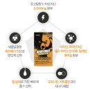 헬스포스