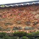 엘림라이프 이미지