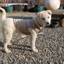 소일농장 이미지