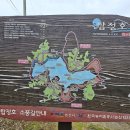 논산 탑정호수 출렁다리 이미지