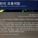 진도상만리오층석탑 이미지