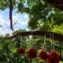 왕벌농장 이미지