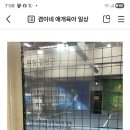 팝테니스수성