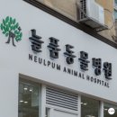 서원동물병원 이미지