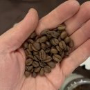 커피원두체험단 시음후기-과일의 풍미와 훌륭한 단맛의 밸런스-에티오피아 게이샤빌리지 벤치마지 이미지