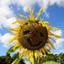 더피부과의원 이미지