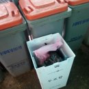선관위 투표함이 한 아파트 음식물 쓰레기통 앞서 발견? 이미지