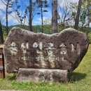 용담호및주변시설 | 산책하며 자연관찰하기 좋은 곳 | 용담호자연습지생태공원 운산자연인공습지