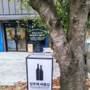 달루체 이미지