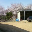 섭이농장 이미지