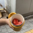 (주)사주나라 | 생의 첫 사주보고🔮 + 맛난거 먹으며 돌아다니는 일상😋🍀_모자영철학관 후기, 웨이팅