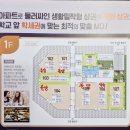 유성아파트 정문 앞 횡단보도 네이버블로그