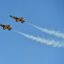 블랙이글 이미지