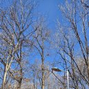 서리풀공원1-21 이미지